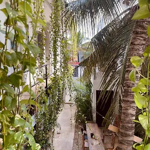 Anana Coliving Gasthof Playa del Carmen